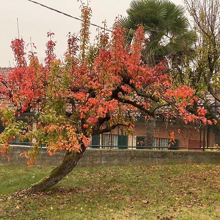 Al Vecchio Pero, Con Ampio Giardino Privato Villa La Morra Bagian luar foto