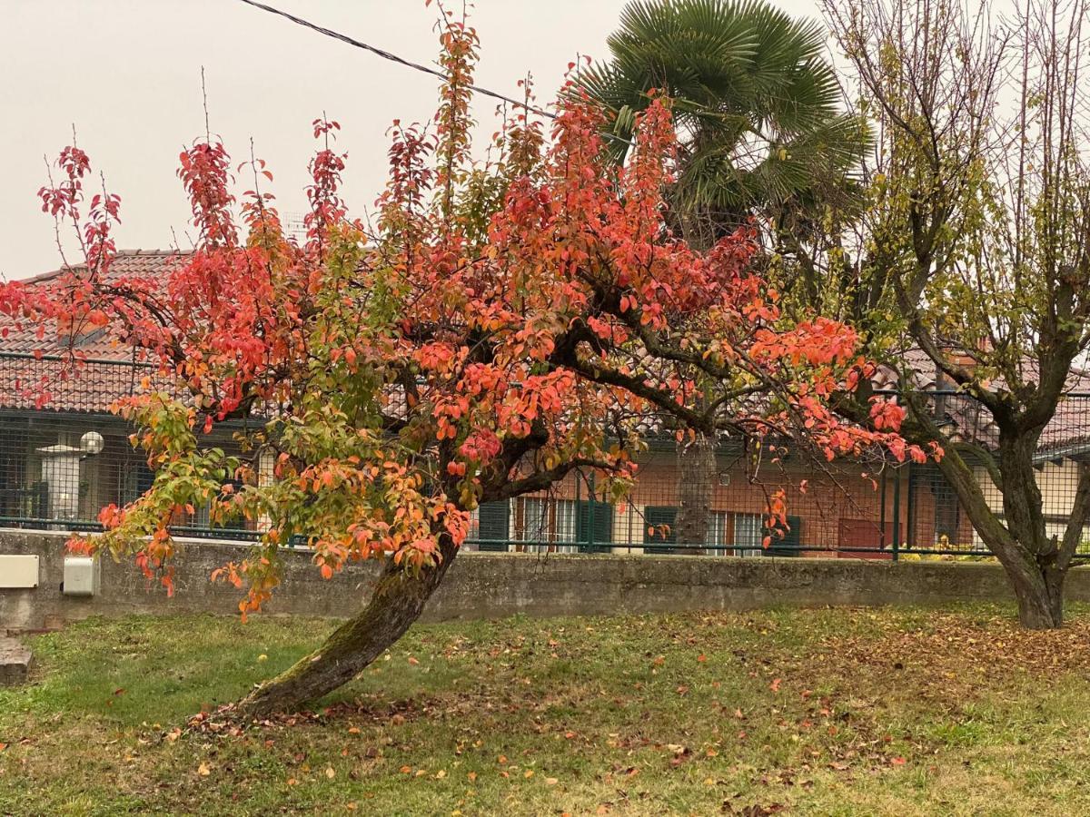 Al Vecchio Pero, Con Ampio Giardino Privato Villa La Morra Bagian luar foto